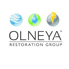 Olneya Restoration Group